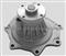 Auto Water Pump For DATSUN TRACK D21 EXPORT MODEL