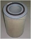 Air Filter 5001837981