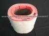 13717501239Air Filter