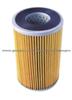 oil filter 15607-1410