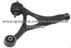 HANOUS Control Arm HN-HY-10983