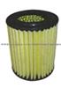 air filter 17220-DNB-Y01