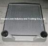 1118ZB6-001 Intercooler For DFAC