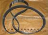 3911560 Cummins Belt