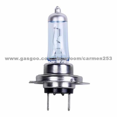 Auto Halogen Lamp