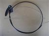 Bonnet Cable811823531