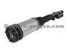 Mercedes-Benz W220 Rear Airmatic Shock Absorber 220 320 5013/2203205013