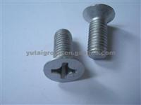 Din965 Cross Recessed Countersunk Screw