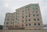 Shenzhen Dinghang Electronic Co, Ltd
