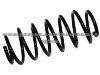 AUDI Coil Spring 893 411 105 B