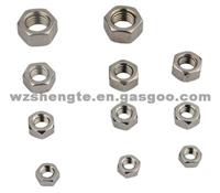 Stainless Steel Nuts ST003