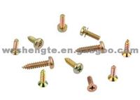 Self Tapping Screw ST008