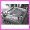 High Quality Plastic Auto Door Mould