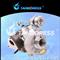 Renault KP35 54359980029 Turbocharger - img4