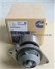 Water Pump Hydraulic Pump For Cummins3282677