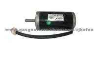 Fitness Equipment Motor