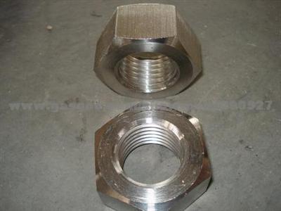 AISI 310S, AISI904L Nut