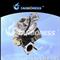 TD2503VNT 454150-5005S Turbocharger - img2