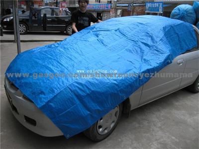 Car Cover Pp/Pe Tarpaulin