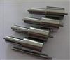 Nozzle DLLA150SM343 DLLA145S1330