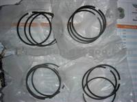 Cummins Piston Ring 3907163 3928673