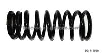 Spring For Nissan - Maxima 95-99 Rear