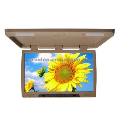 22-Inch Widescreen Roof Monitor