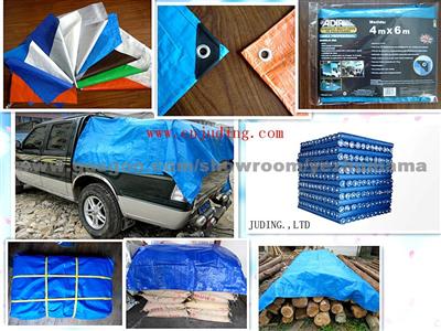 PP / PE Tarpaulin car Cover