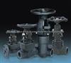 API600, API602 Forged Steel Gate Valves