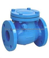 Cast Iron Check Valve