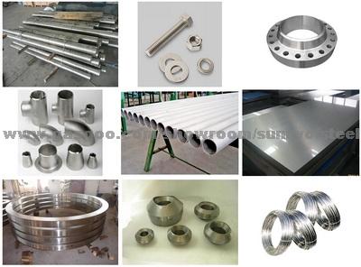 Duplex Stainless Uns S31803 S32750 S32760 S31254 Flange Bar Wire Rod Fasteners Tube Pipe Fittings Forging