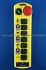 Industrial Radio Remote Control CUPID Q200