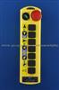 Industrial Radio Remote Control CUPID Q112