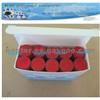 Fuel Nozzle DLLA155PN200(105017-2000)