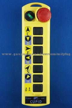 Industrial Radio Remote Control CUPID Q100