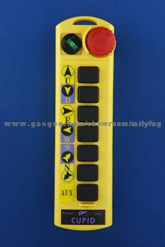 Industrial Radio Remote Control CUPID Q112