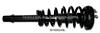 Complete Strut For Acura - 3.2CL 98-03 FL