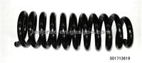 Spring For Ford - Pickup (1/2 Ton) 4 WD (F Series) , Lincoln - Mark LT 04-06F