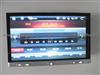 Unique 2 Din 7 Inch Universal Car DVD GPS With TV, Radio, Bluetooth,Etc