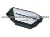 Air Filter17220-P0A-G00