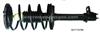 Complete Strut For Dodge - Neon Plymouth - Neon Monroe Number: 171578