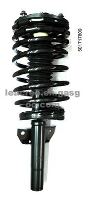 Complete Strut For Ford 171780