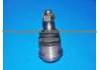 Ball Joint 40110-01G25