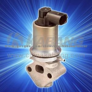 EGR Valve For European Car, VW, AUDI