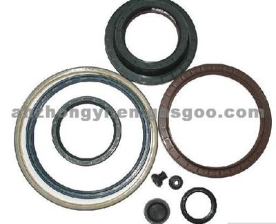 Rubber Oil Seal TS16949 ISO9001 ROHS