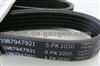 DAEWOO V-Ribbed Belt OE 96144934,1987947921,5PK1010