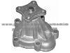 Water Pump21010-01M00
