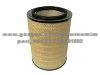 Air Filter  8143691