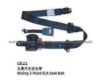 Terylene Blue Safety Belt C031