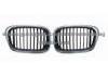 GRILLE BLACK CHROME L51137005837 R51137005838